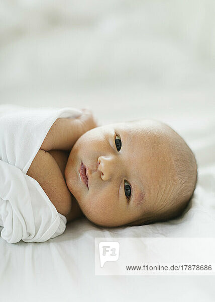 Portrait of swaddled newborn boy (0-1 months)