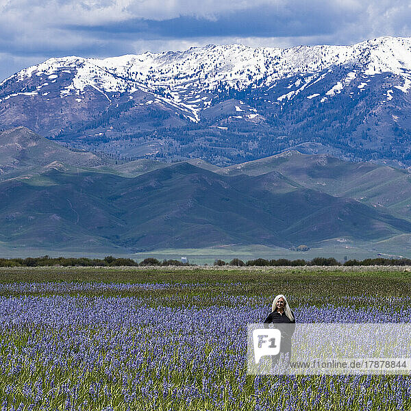 United States  Idaho  Fairfield  Senior woman standing in field of camas lilies with Soldier Mountain in background