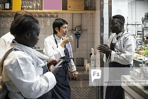 Multiracial chefs talking during break in commercial kitchen
