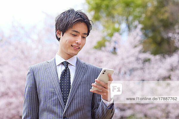 Japanischer Geschäftsmann am Telefon und blühende Kirschblüten