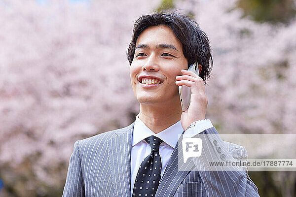 Japanischer Geschäftsmann am Telefon und blühende Kirschblüten
