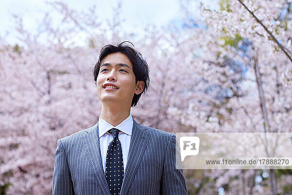 Porträt eines japanischen Geschäftsmanns mit blühenden Kirschblüten