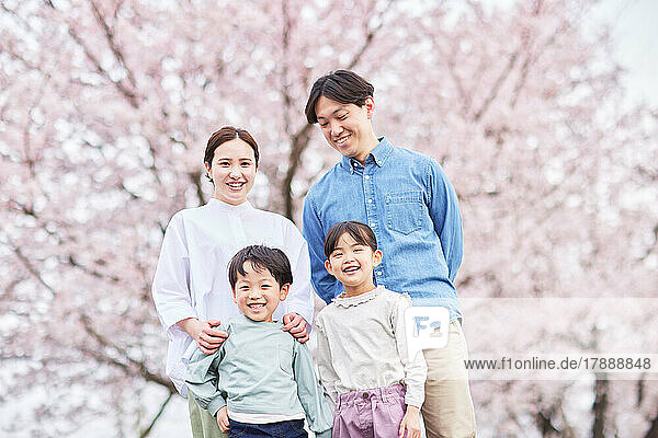 Japanische Familie mit blühenden Kirschblüten