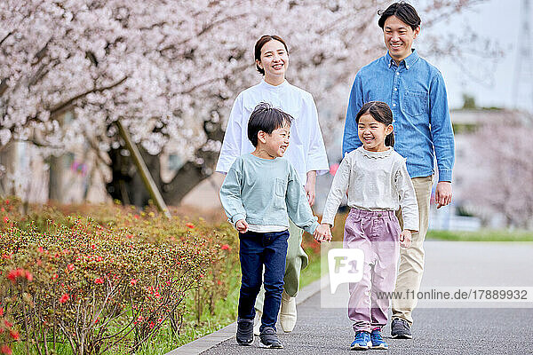 Japanische Familie mit blühenden Kirschblüten