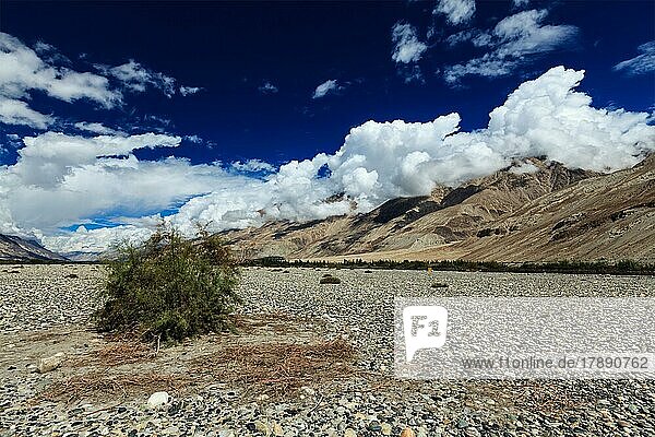Himalayan landscape in Nubra valley in Himalayas. Ladakh  India  Asia