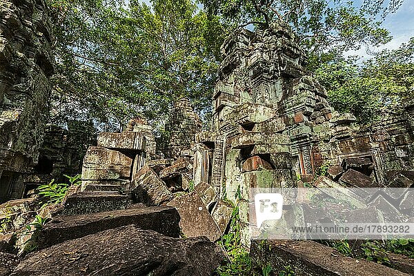 Travel Cambodia concept background  ancient ruins  Ta Prohm temple  Angkor  Cambodia  Asia