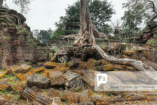 Bild mit hohem Dynamikbereich (hdr) von antiken Ruinen mit Bäumen  Ta Prohm-Tempel  Angkor  Kambodscha  Asien