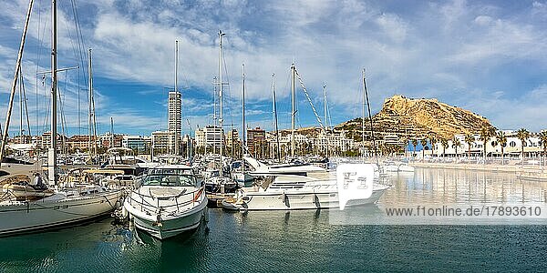 Alicante Port dAlacant Marina with boats and view of Castillo Castle holiday travel city panorama in Alicante  Spain  Europe