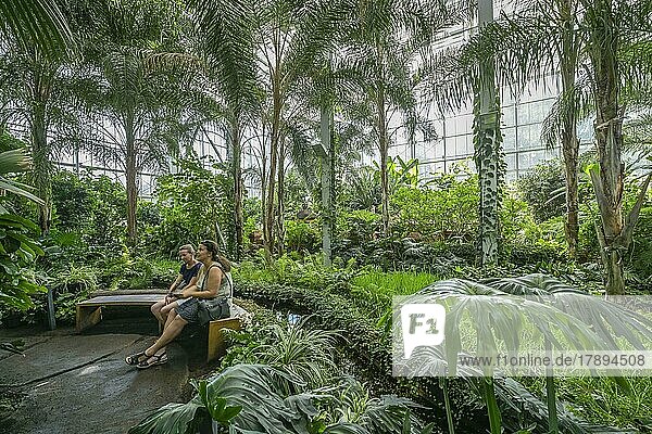 Tropenhalle Balinesischer Garten  Gärten der Welt  Marzahn  Berlin  Deutschland  Europa