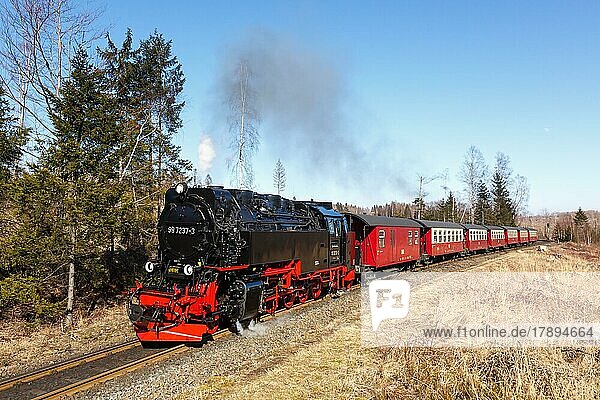 Dampfzug der Brockenbahn Eisenbahn Bahn Dampfeisenbahn bei der Ausfahrt aus Drei Annen Hohne Deutschland Europa