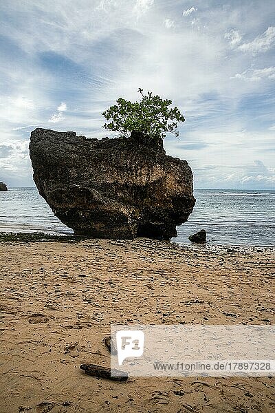 Einsamer Felsen am Strand von Badung Badung in Bali Indonesien