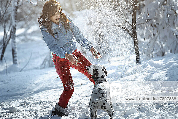 Frau und Dalmatiner spielen im Park mit Schnee
