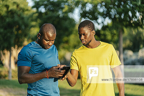 Young man sharing smart phone with friend at park