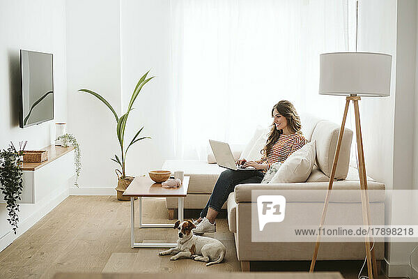 Young woman with dog using laptop on sofa at home