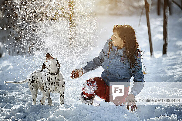 Playful woman throwing snow on Dalmatian dog at park