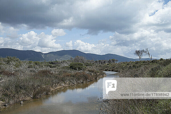 Fluss inmitten von Pflanzen unter bewölktem Himmel im Parco Regionale della Maremma  Grosetto  Italien