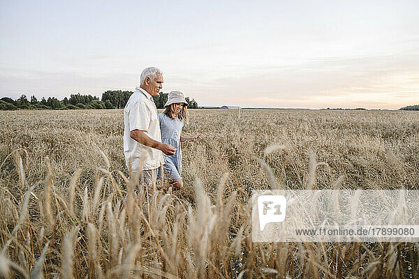 Senior farmer with granddaughter walking in rye field