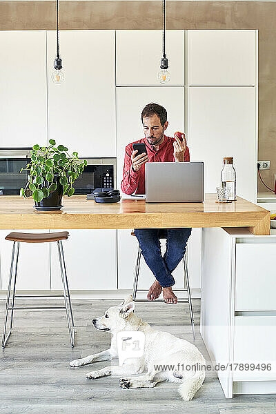 Businessman using smart phone and eating apple at home