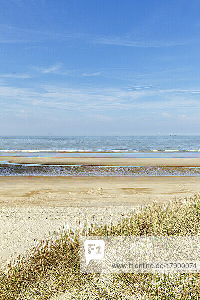 Belgium  West Flanders  De Haan  Sandy beach with clear line of horizon over North Sea in background