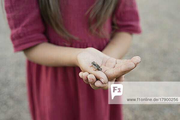 Mädchen hält Frosch in der Hand