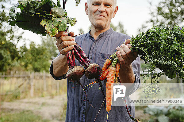Glücklicher Gärtner mit frischen Bündeln Karotten und Rote Bete im Garten