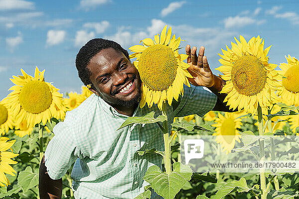 Glücklicher junger Mann posiert mit Sonnenblume im Feld