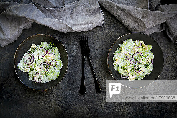 Studioaufnahme von zwei Schüsseln Gurkensalat mit Joghurt  Zwiebeln und Feta-Käse