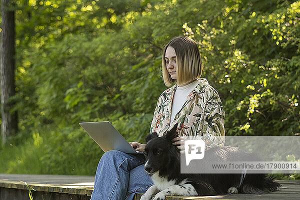 Junger Freiberufler arbeitet am Laptop mit süßem Hund im Park