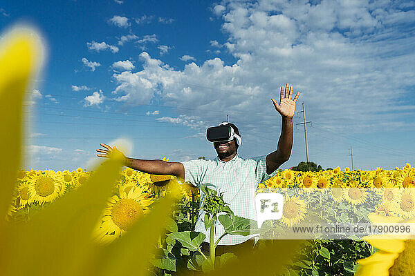 Happy man wearing virtual reality simulator gesturing in sunflower field