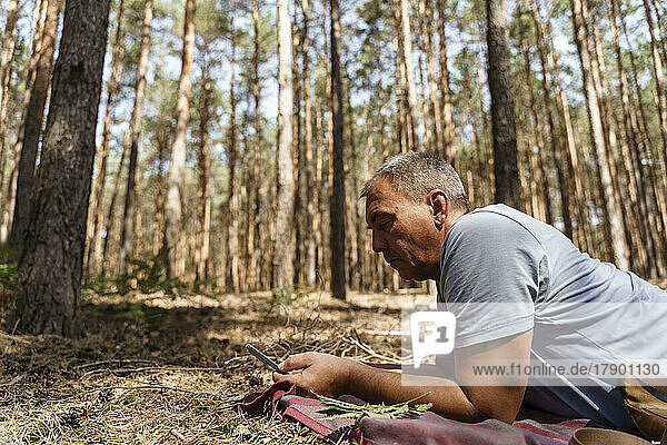 Mature man using smart phone lying in forest