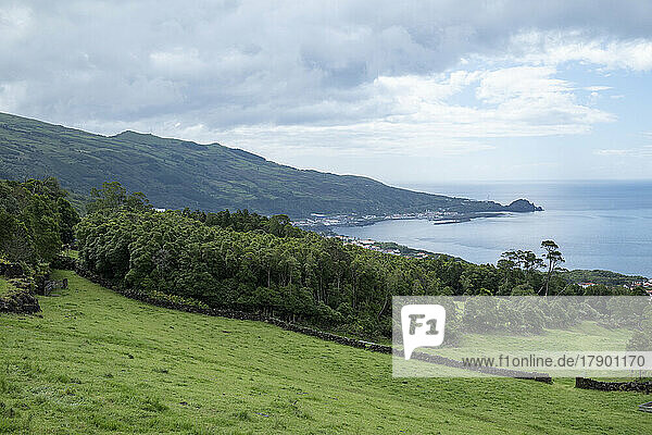 Portugal  Azoren  Lajes Do Pico  Küste der Insel Pico
