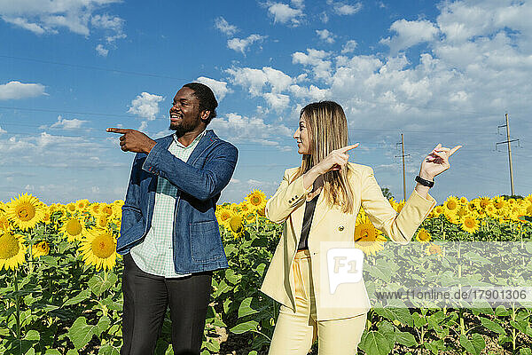 Smiling businessman and businesswoman pointing while discussing in sunflower field