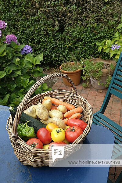 Basket filled with homegrown vegetables