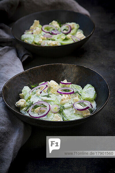 Studio shot of two bowls of cucumber salad with yogurt  onions and feta cheese