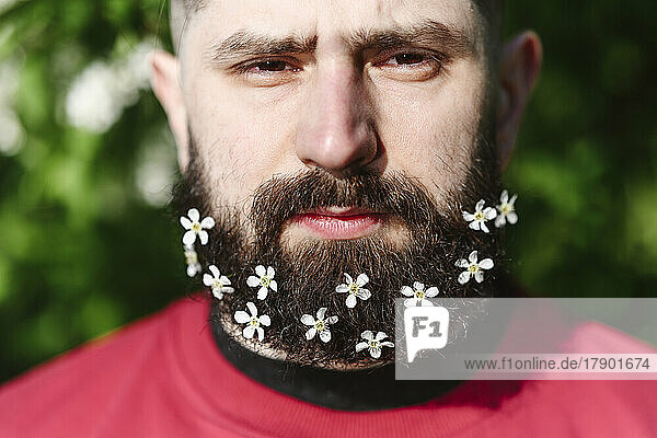 Man with small white flowers on beard