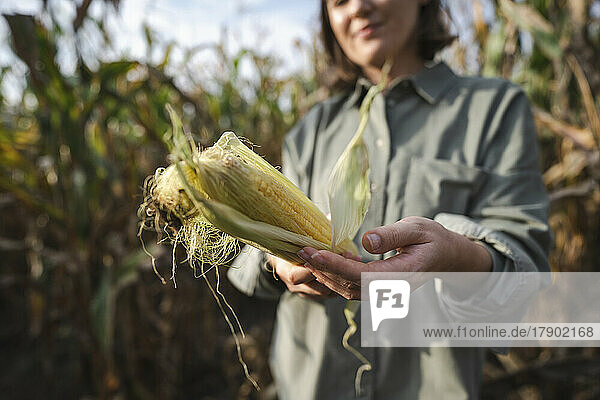 Woman holding corncob in field