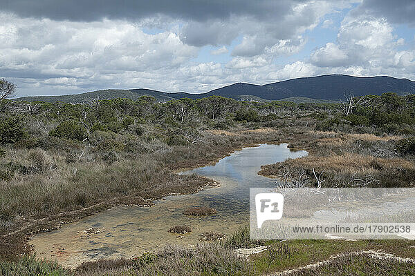 Fluss und Landschaft im Parco Regionale della Maremma  Grosetto  Italien