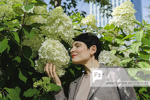 Lächelnde Geschäftsfrau riecht Blumen und steht neben der Pflanze