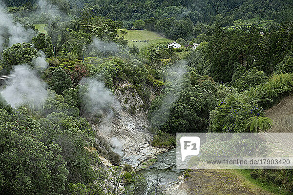 Portugal  Azoren  Furnas  Fumarolen auf der Insel Sao Miguel