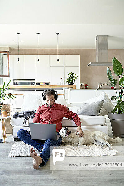 Freelancer working on laptop wearing headphones by dog lying at home