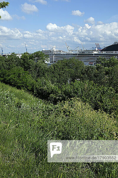 Deutschland  Hamburg  Grüne Bäume mit Blick auf den Hamburger Hafen