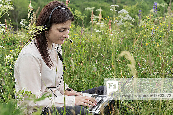 Young freelancer with headset working on laptop in meadow