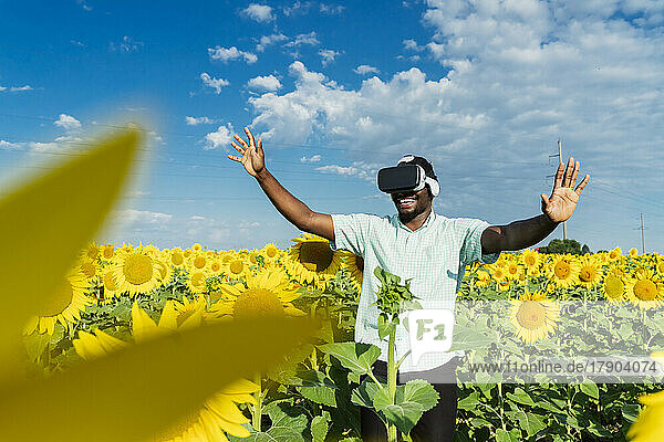 Happy young man wearing virtual reality simulator gesturing in sunflower field