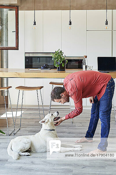 Mann streichelt Hund zu Hause