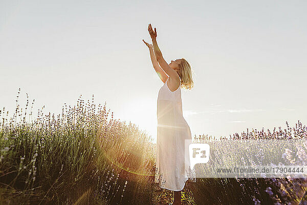 Frau mit erhobenen Armen steht bei Sonnenuntergang im Lavendelfeld