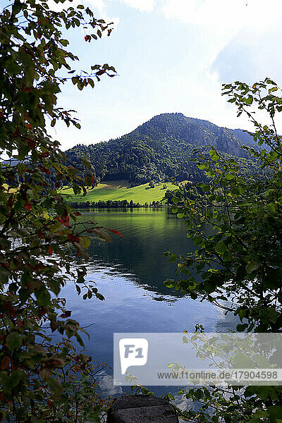 Germany  Bavaria  View of Schliersee lake with forested hill in background