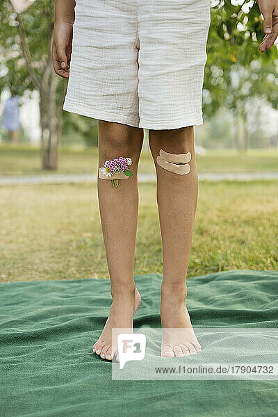 Knie eines Mädchens mit Verband und Blumen auf einer Decke stehend
