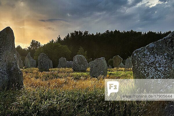 Menhire bei Carnac  Megalithkultur  Sonnenuntergang  Gegenlicht  Bretagne  Frankreich  Europa