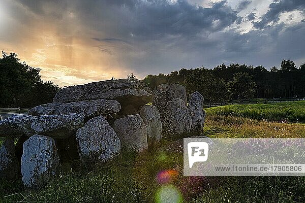 Menhire bei Carnac  Megalithkultur  Sonnenuntergang  Gegenlicht  farbige Lichtreflexe  Bretagne  Frankreich  Europa