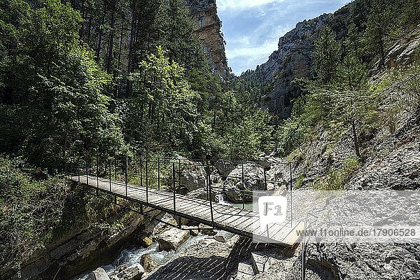 Wanderweg mit Brücke in der Schlucht von Trevans  Gorges de Trévans  Fluss L Estoublaisse  Nähe von Estoublon  Alpes-de-Haute-Provence  Provence  Frankreich  Europa